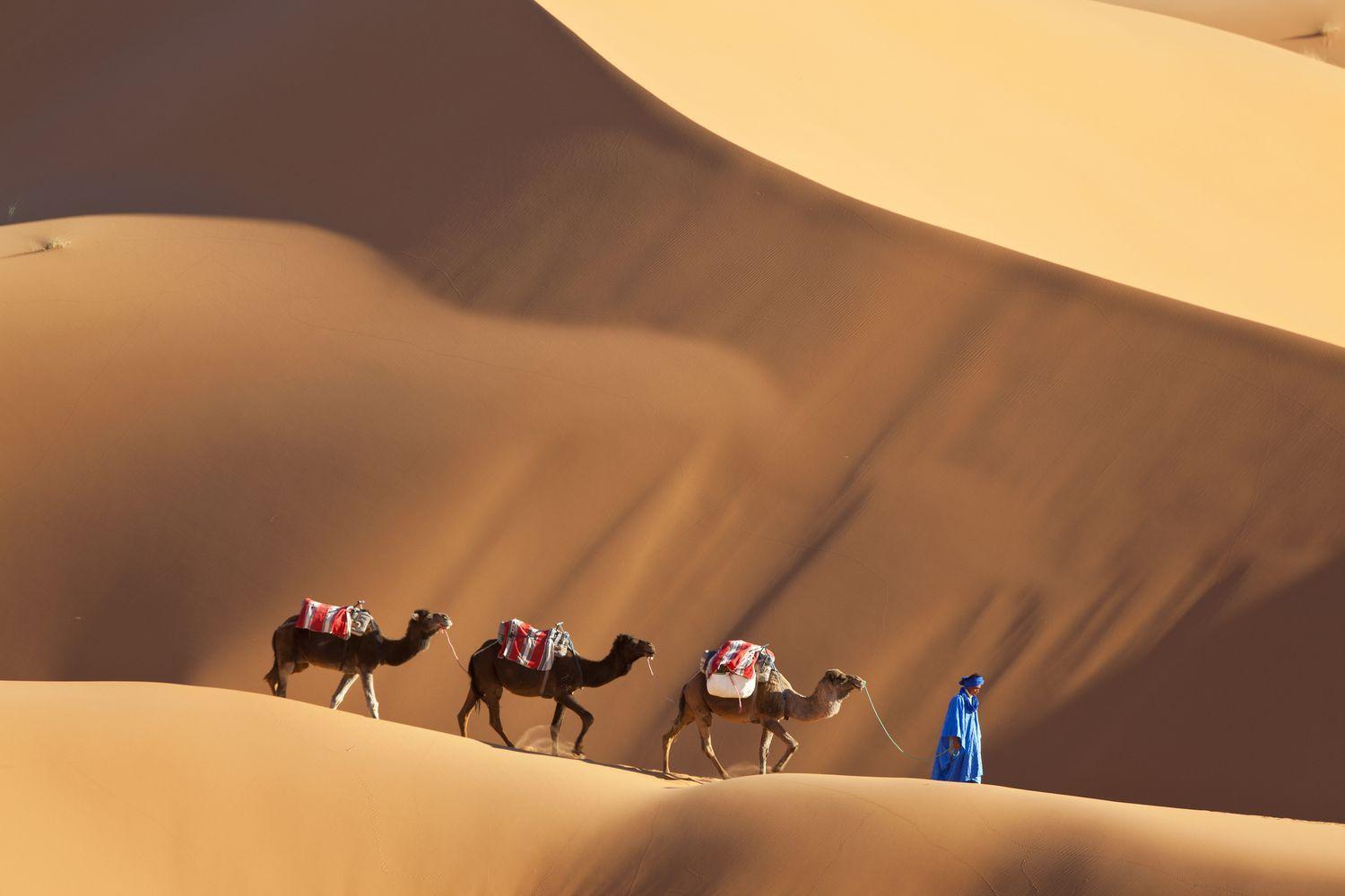 Merzouga Luxury Traditional Camp Exterior foto